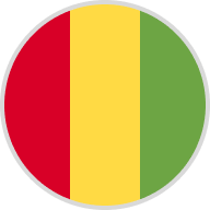 Guinea flag