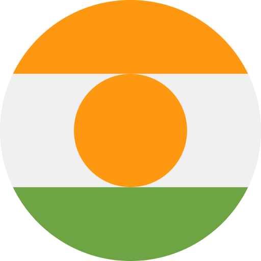 Niger flag