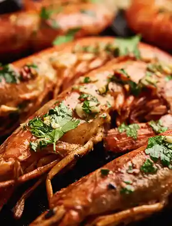 Popular Foods to Try