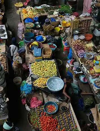 Popular Foods to Try