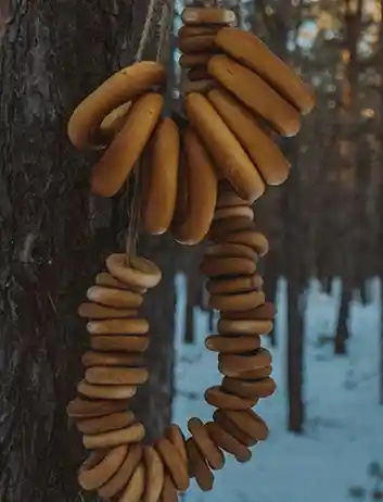 Popular Foods to Try