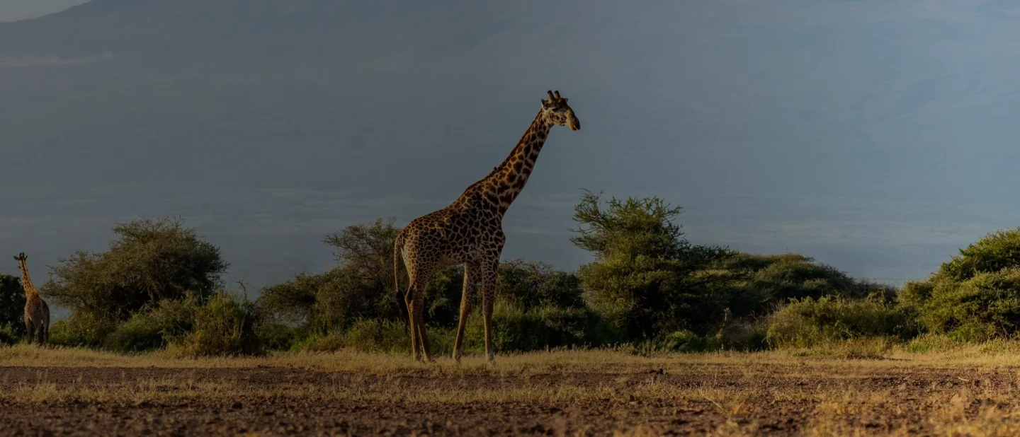 Destination Background