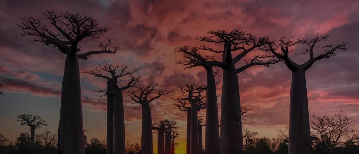 Destination Background