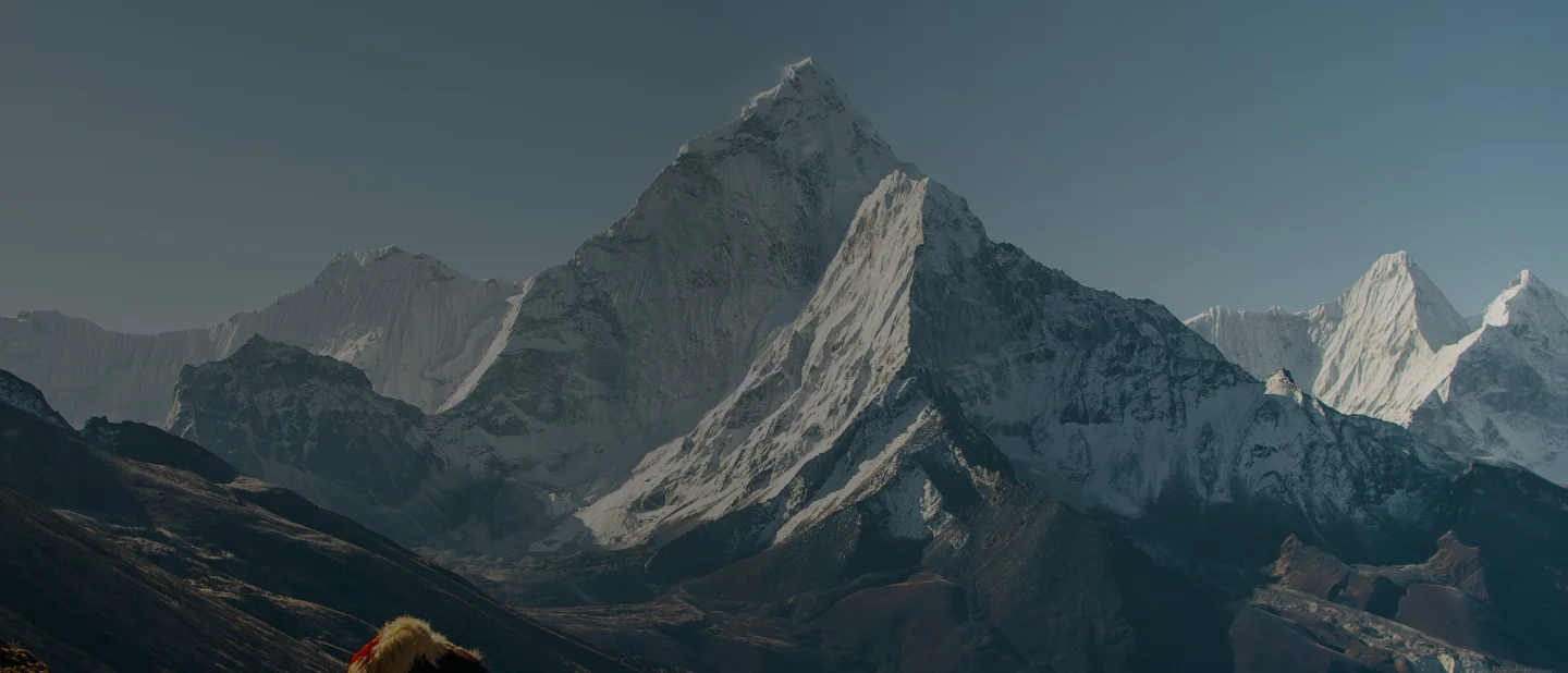 Destination Background